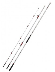 Cana Daiwa Emblem Surf HAE...