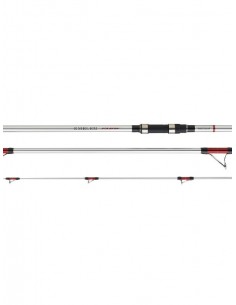 Cana Daiwa Emblem Surf HAE... 2