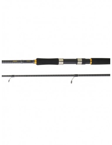 Cana Daiwa Legalis Seabass 902HXHFS...
