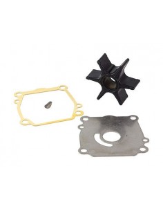 Kit Bomba de Água DF60-70