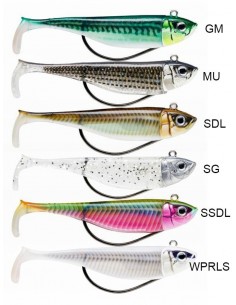 Storm 360ºGT Coastal Biscay...