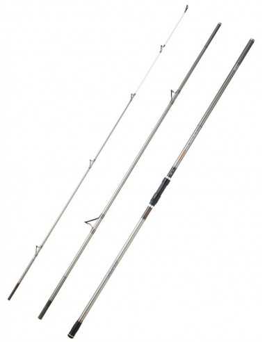 Cana Daiwa Shorecast Surf X 4.20m