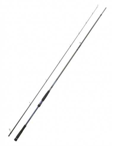 Cana Daiwa Labrax Seabass 1002HXHFSAF