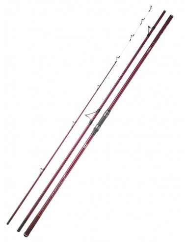 Cana Daiwa Prime Caster Slim 33 4.25m...