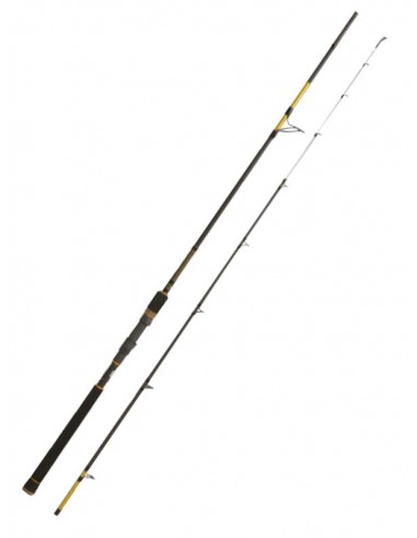 Cana Cinnetic Sky Line Tanera Gold II...